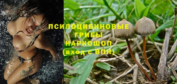 круглые Армянск